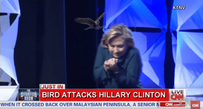 Bird Hillary Site
